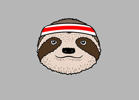 Cover Sloths for Dynamo